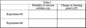 IMAGE SESIMG/SEXP1010.gif