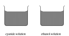 IMAGE SCFIMG/CSH3C59.gif