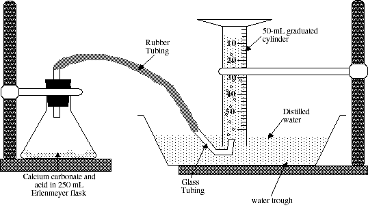 IMAGE SEFIMG/SEXP619.gif