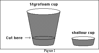 IMAGE SESIMG/SEXP1714.gif