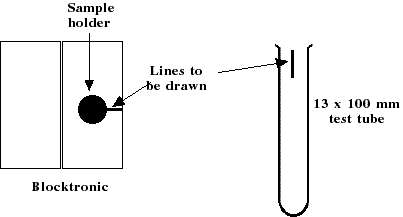 IMAGE imgs/SLZAII04.gif