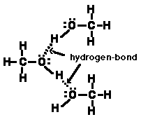 IMAGE KYIMG/KYF91F21.gif