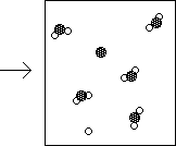 IMAGE SCFIMG/CSH3C44.gif