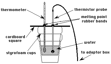 IMAGE SEFIMG/SEXP508.gif