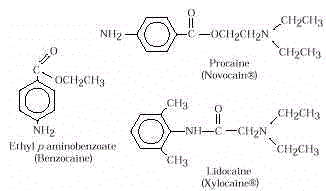 wpe4A.jpg (7684 bytes)