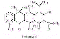 wpe4E.jpg (4540 bytes)