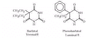 wpe53.jpg (5040 bytes)