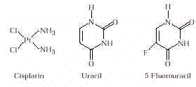 wpe56.jpg (4005 bytes)