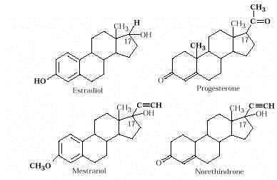 wpe57.jpg (11194 bytes)
