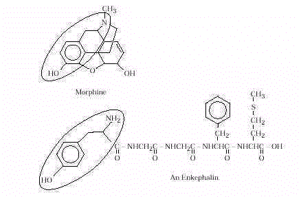 wpe3A.jpg (11070 bytes)