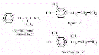 wpe3C.jpg (5992 bytes)