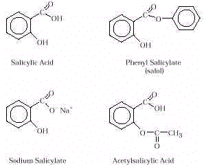 wpe3F.jpg (8174 bytes)